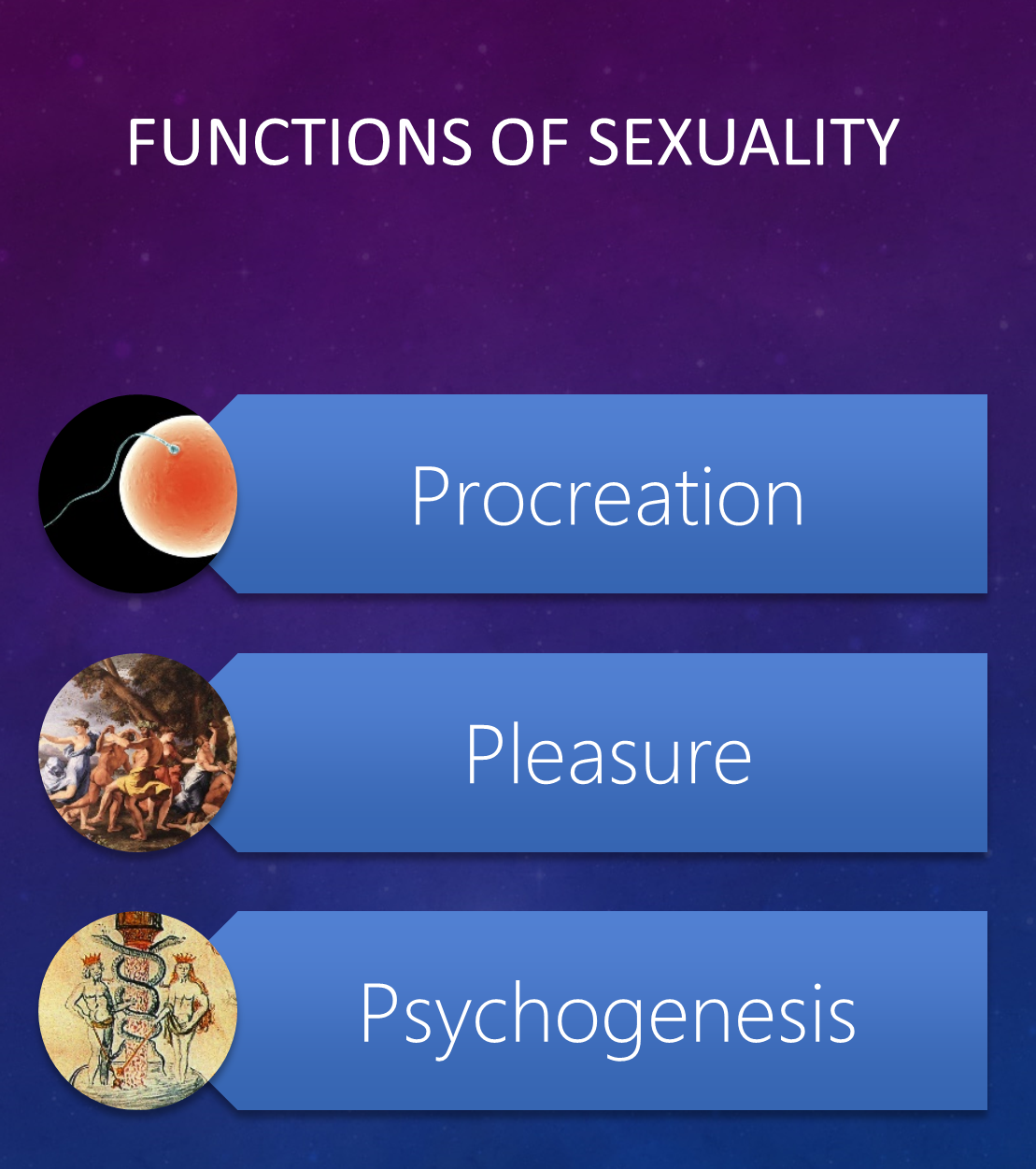 mots_05_functions_of_sexuality.png