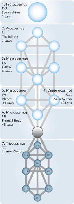 tree-cosmos-laws-sun-_fmt1