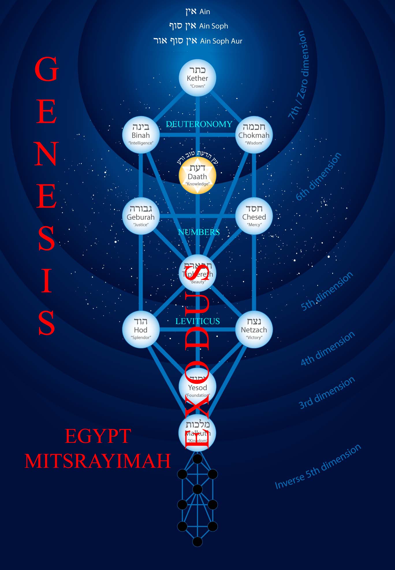 tree-of-life-five-books