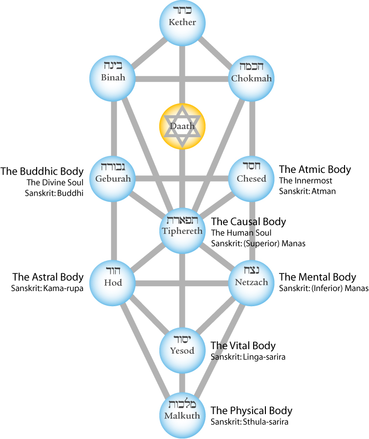 tree-of-life-seven-bodies