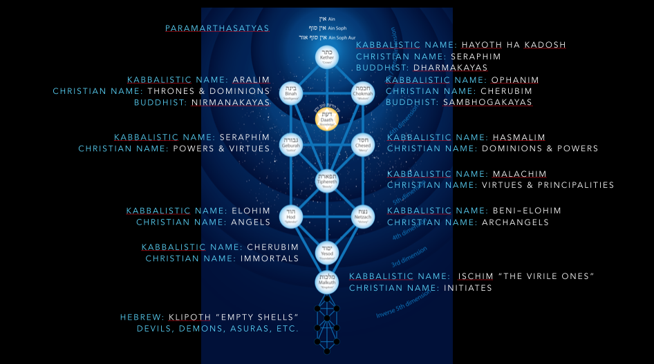 tree-of-life-names-new