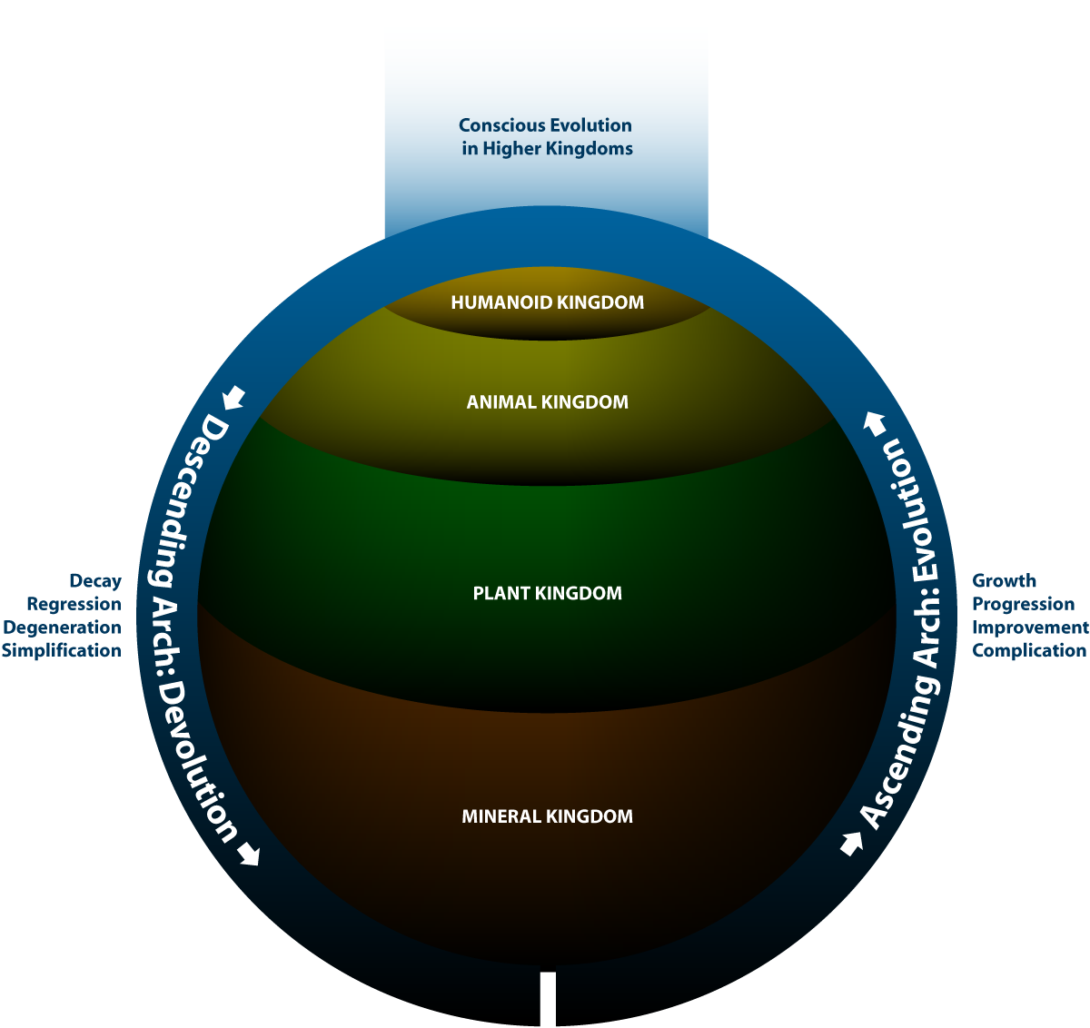 Transmigration Definition World History